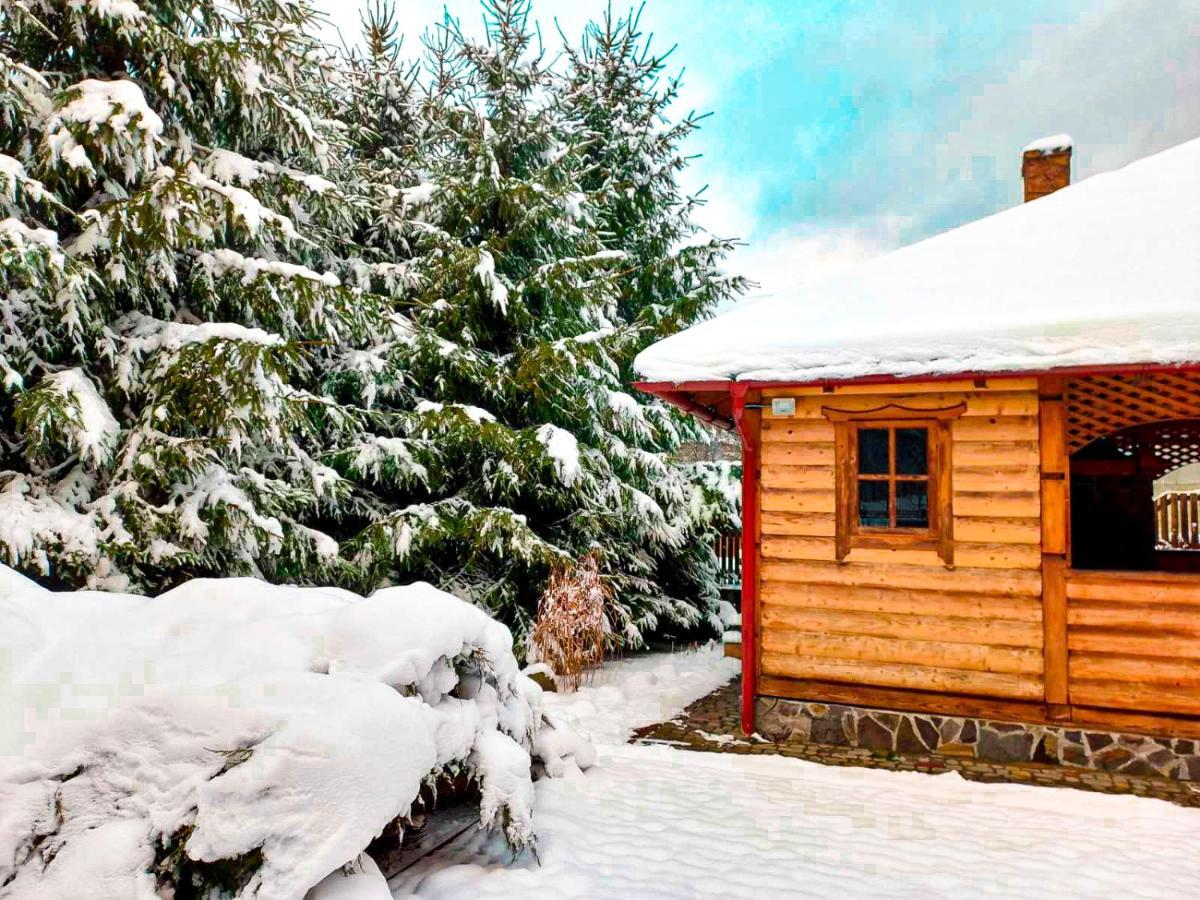 Magnolia Villa Tatariv Dış mekan fotoğraf